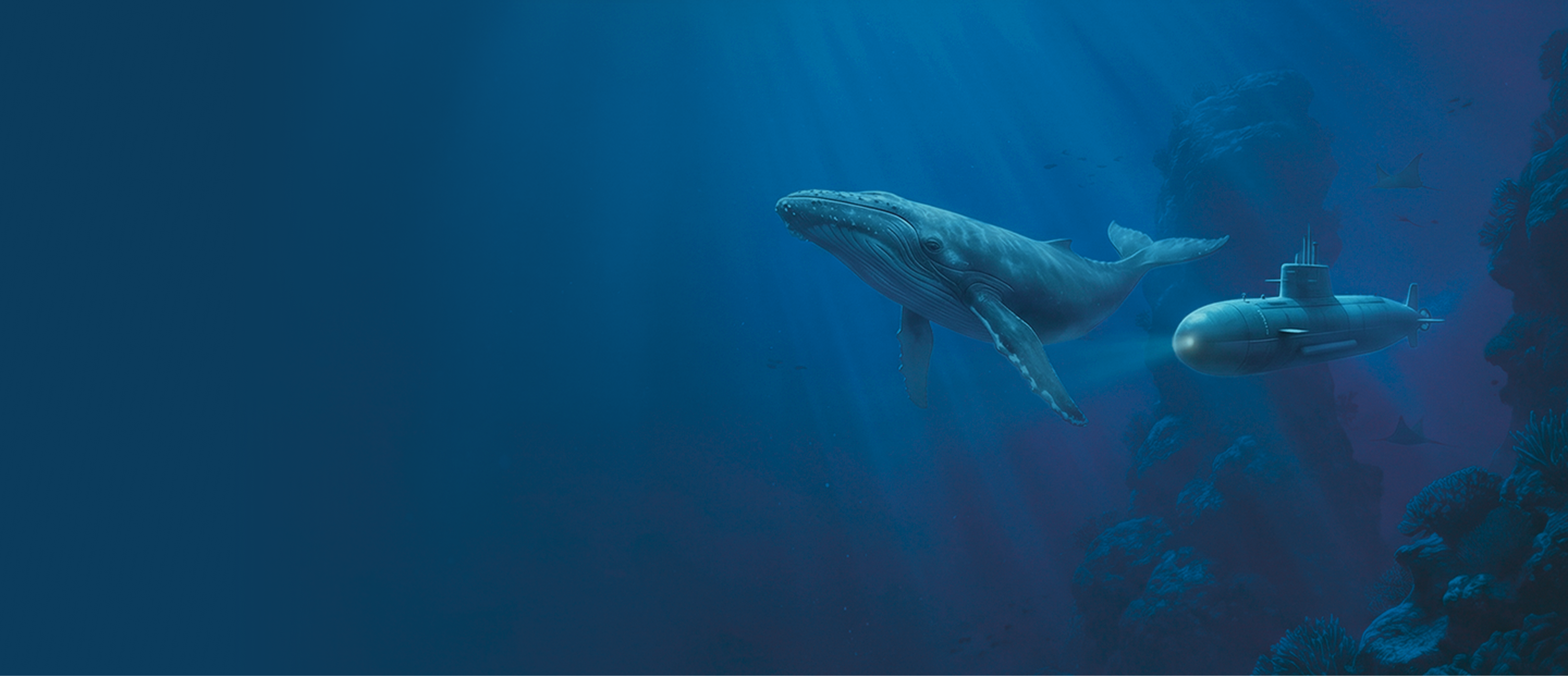 Winter Waters: Protecting Our Oceans When It Matters Most
