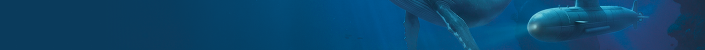 Winter Waters: Protecting Our Oceans When It Matters Most