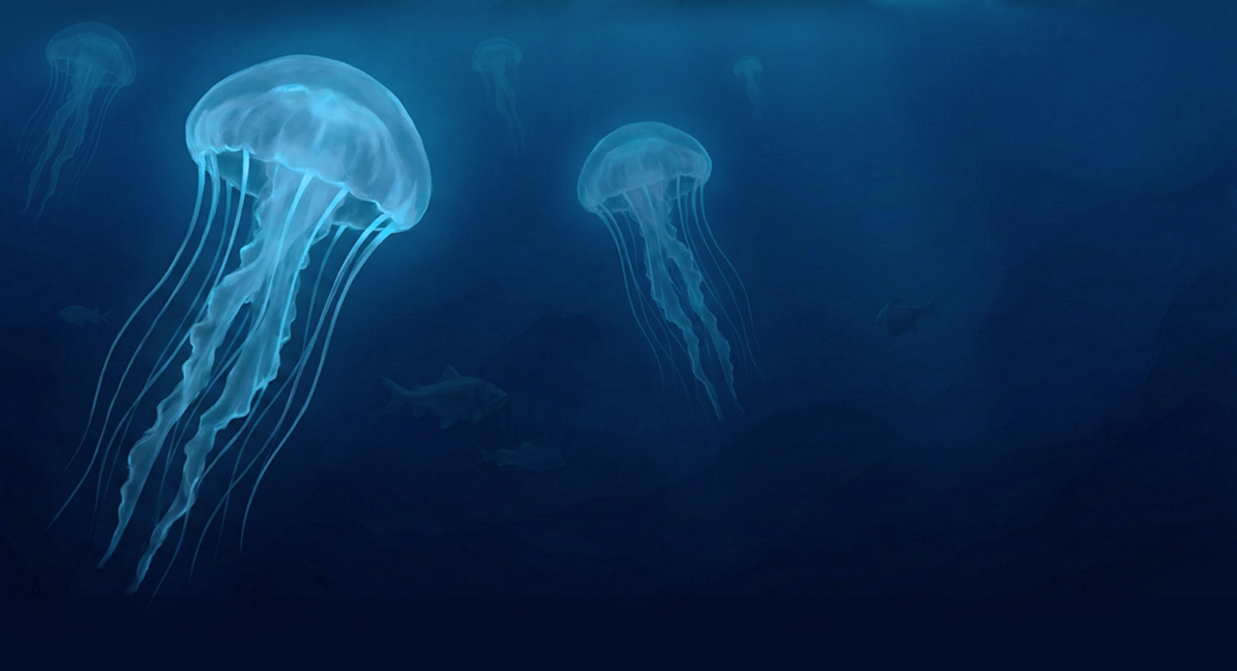Why Oceans4Us Focuses on Proactive Protection