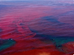 Harmful Algal Blooms