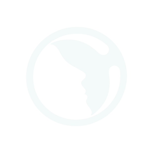 <h1>The Founding Partners Initiative</h1>